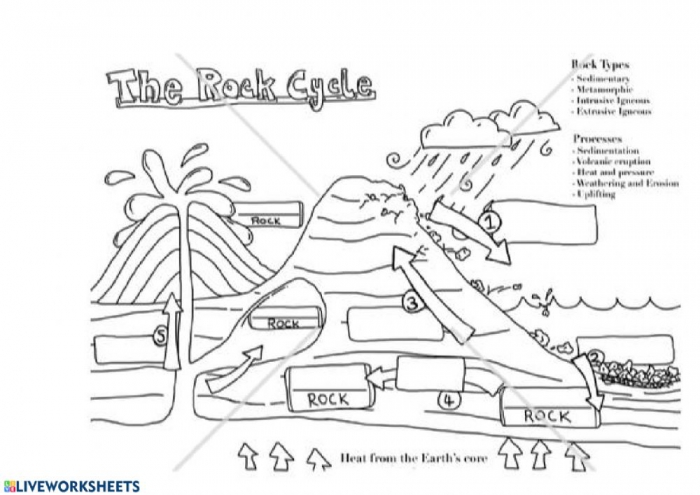 what-is-the-rock-cycle-worksheets-99worksheets