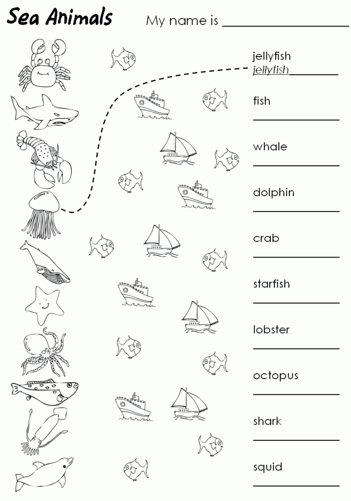 Sea Animal Worksheet