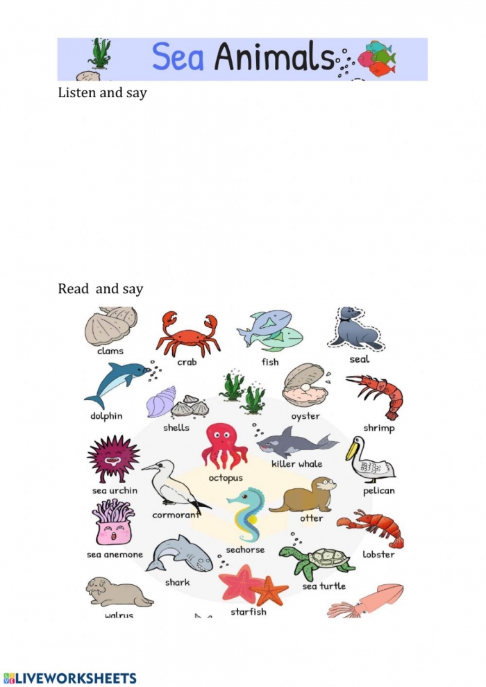 Sea Animals Activity