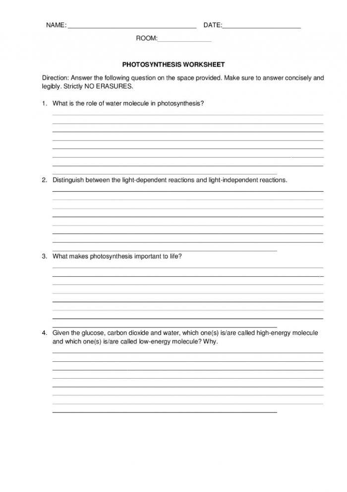 Solved Name Date Room Photosynthesis Worksheet Directi