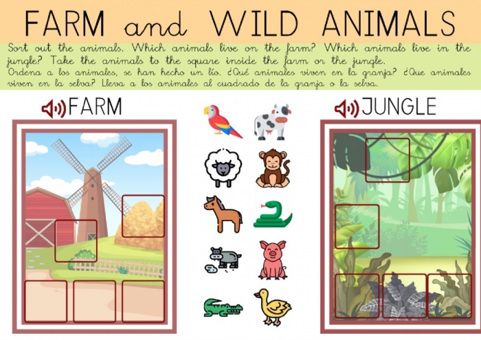 Sort Out Animals Worksheet