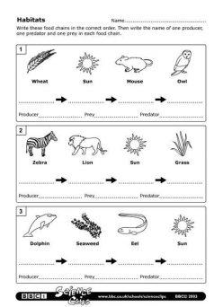 Introduction To Food Webs