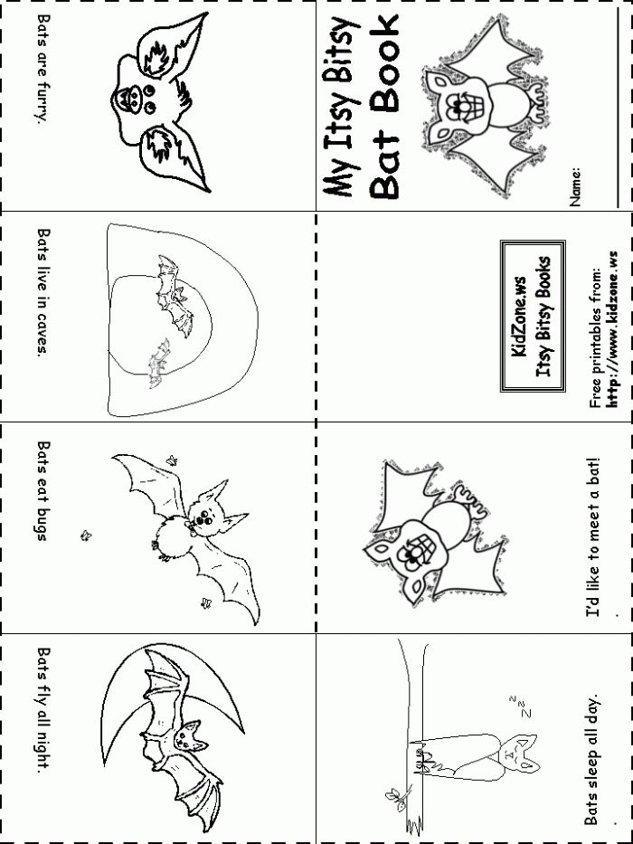 Bat Activity Sheets