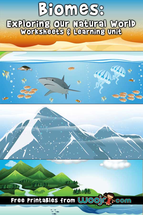 Biomes Worksheets   Learning Unit