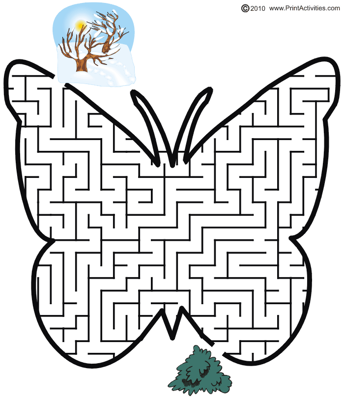 Butterfly Maze Shaped Like A Butterfly