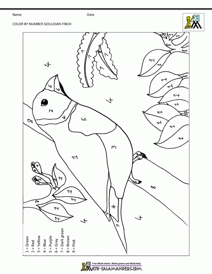 Color By Number Sheets Bird Theme