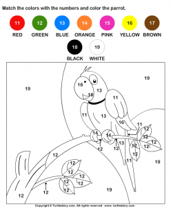 Color-By-Number: Parrot