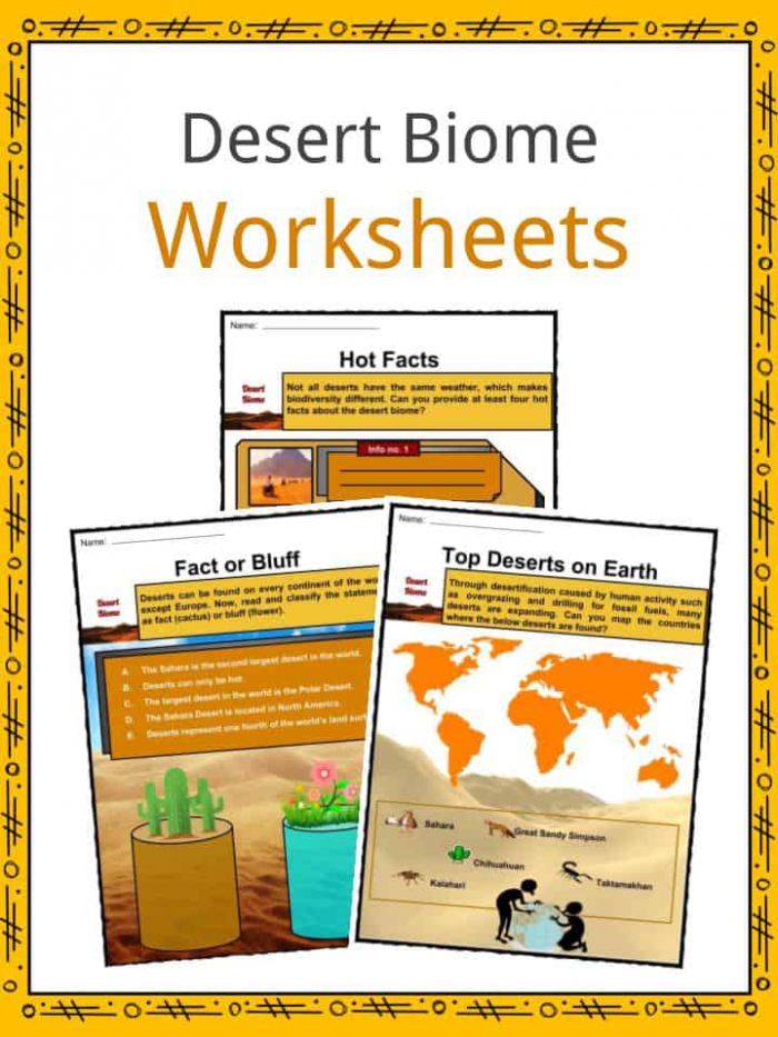 Desert Biome Facts  Worksheets  Types  Locations  Flora   Fauna Kids