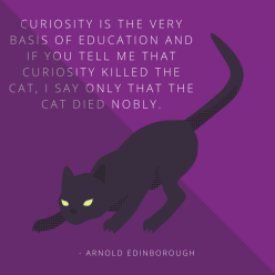Curiosity Saved The Cat