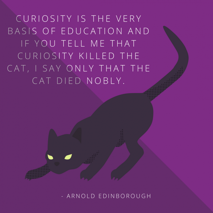 Did Curiosity Really Kill The Cat