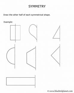 Shapes With Symmetry