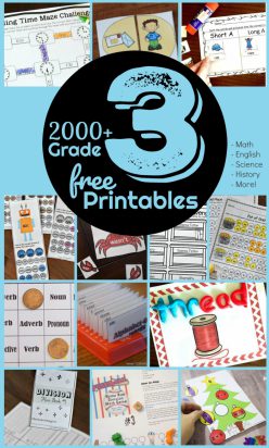 free rd grade worksheets 7