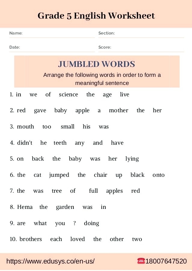 Grammar Exercises Grade Worksheets Worksheet Pig Daily Practice
