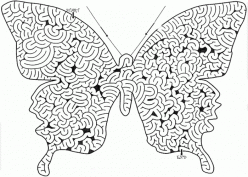 Butterfly Maze