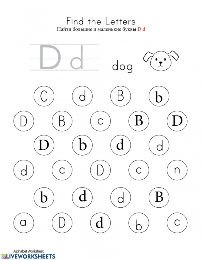 Letter D Worksheet
