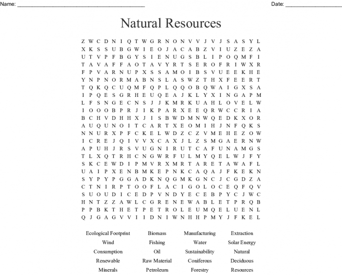 Natural Resources Word Search