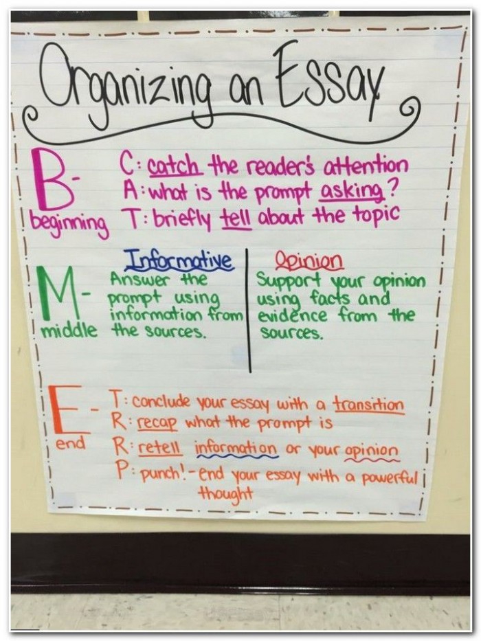 Opinion Essay Anchor Paper Worksheets