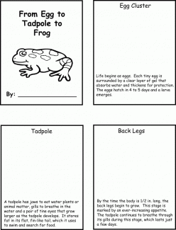 Life Science Learning: Life Cycle Of A Frog