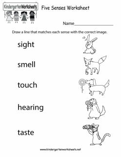 senses sight matching worksheets 9