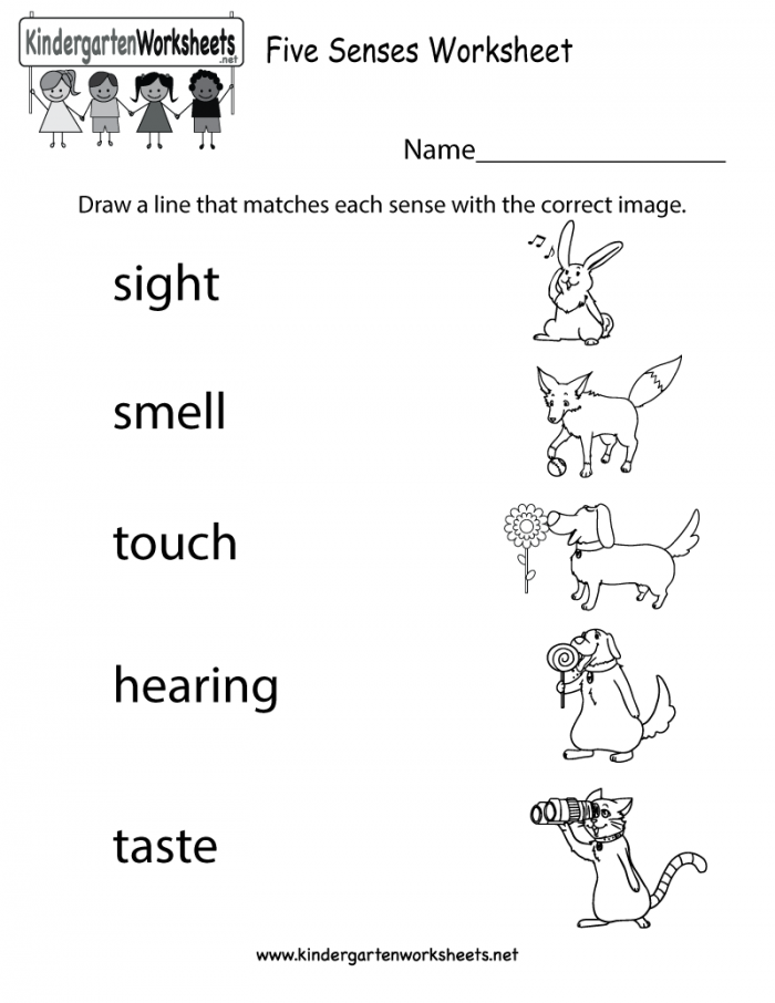 Senses Sight Matching Worksheets