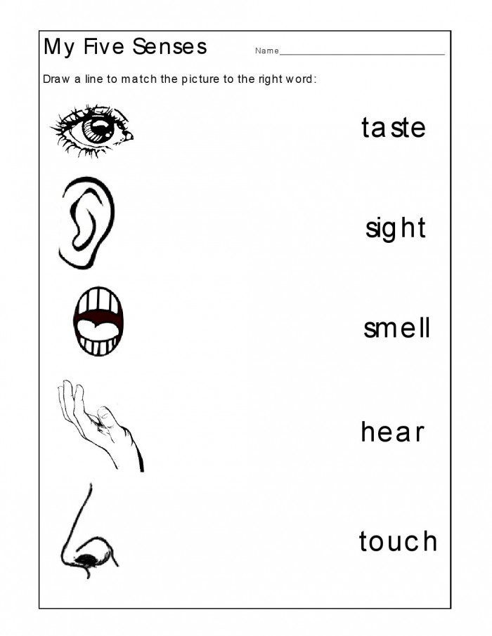 Senses Taste Matching Worksheets