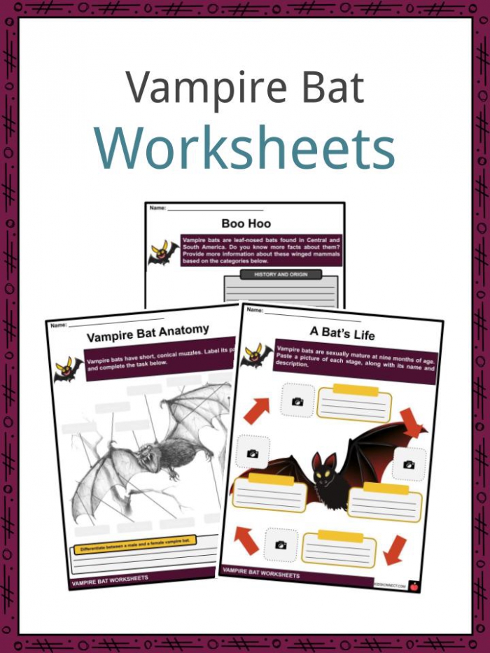 Vampire Bat Facts  Worksheets  Taxonomy   Education For Kids