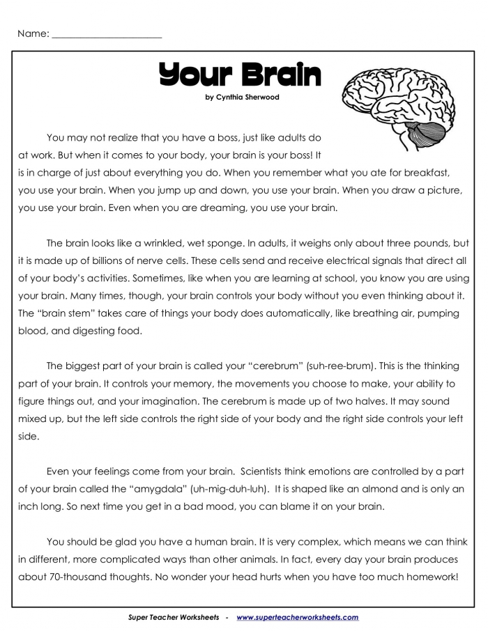 your-brain-worksheets-99worksheets