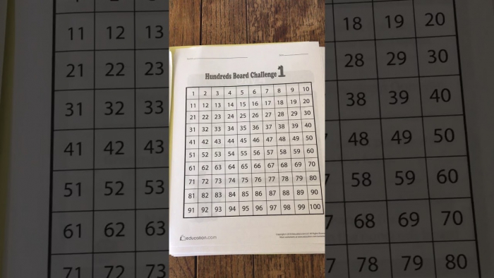 Hundred Board Challenge