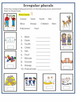 Irregular Plural Nouns