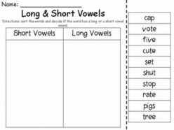 Long And Short Vowel Check-In