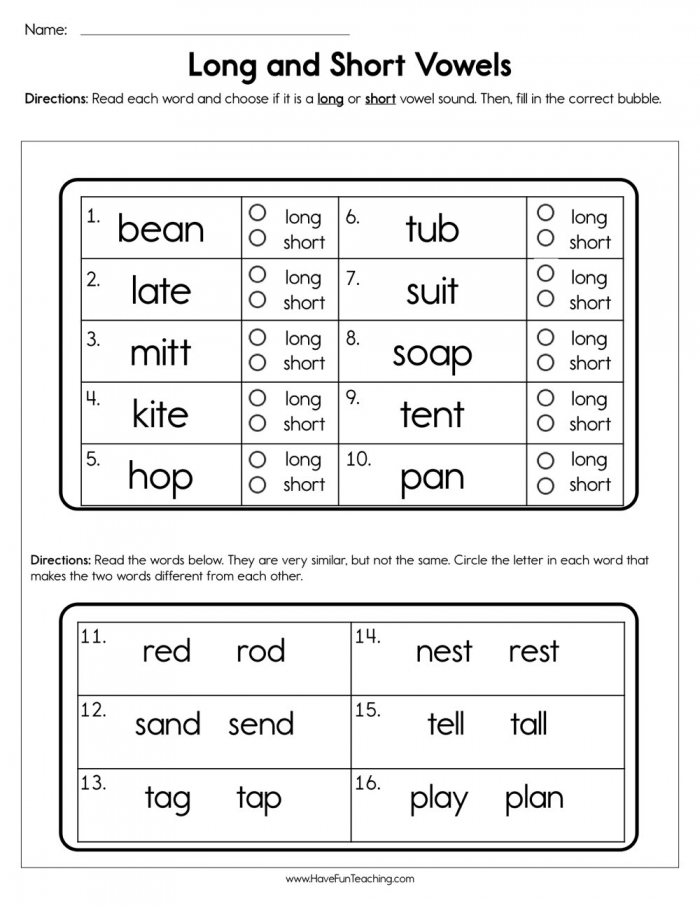 Long And Short Vowels Worksheet  Have Fun Teaching
