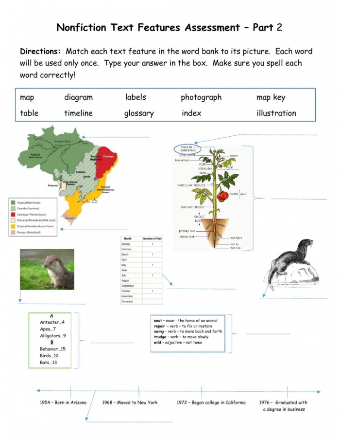 Nonfiction Text Features Assessment