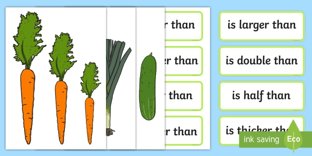 Vegetable Size Comparison Measuring Activity Teacher Made