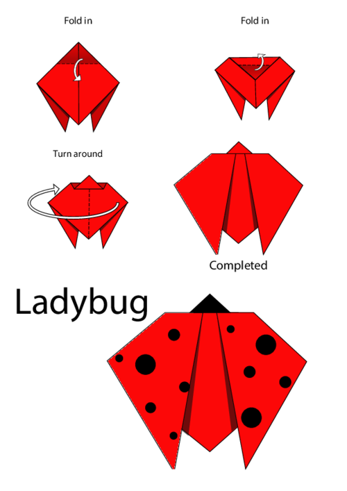 Easy Origami Instructions Ladybug