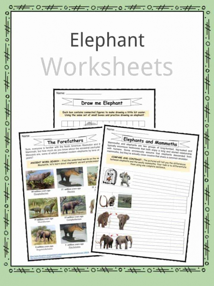 Elephant Facts Worksheets Habitat And Information For Kids