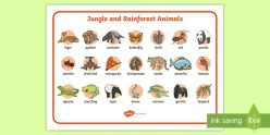 Educational Placemat: Jungle Educational Placemat: Jungle