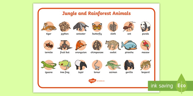 Jungle And Rainforest Word Mat