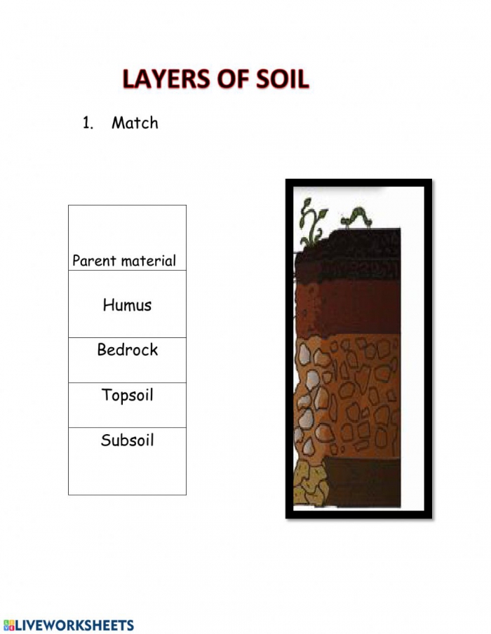 Layers Of Soil Worksheet