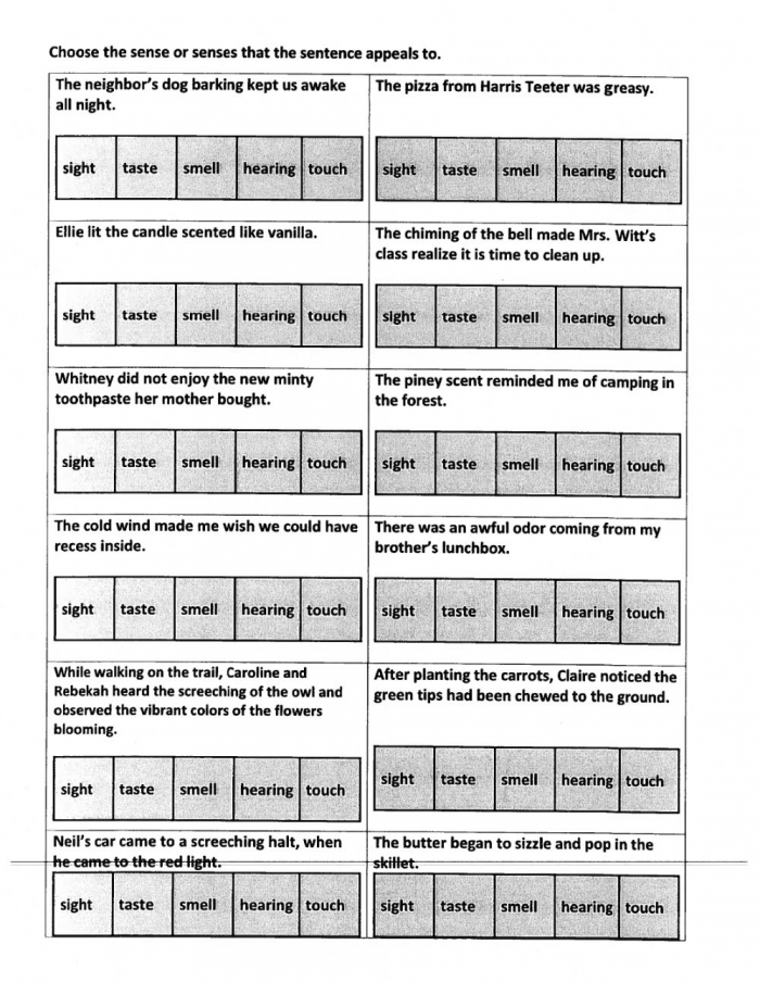 Sensory Words Practice Worksheet