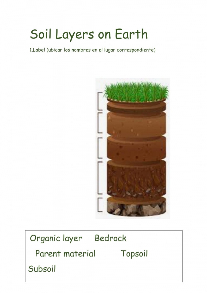Soil Layers On Earth Worksheet