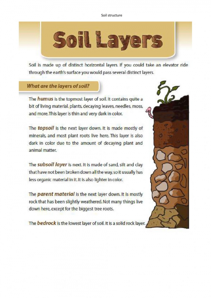 Soil Layers Worksheet