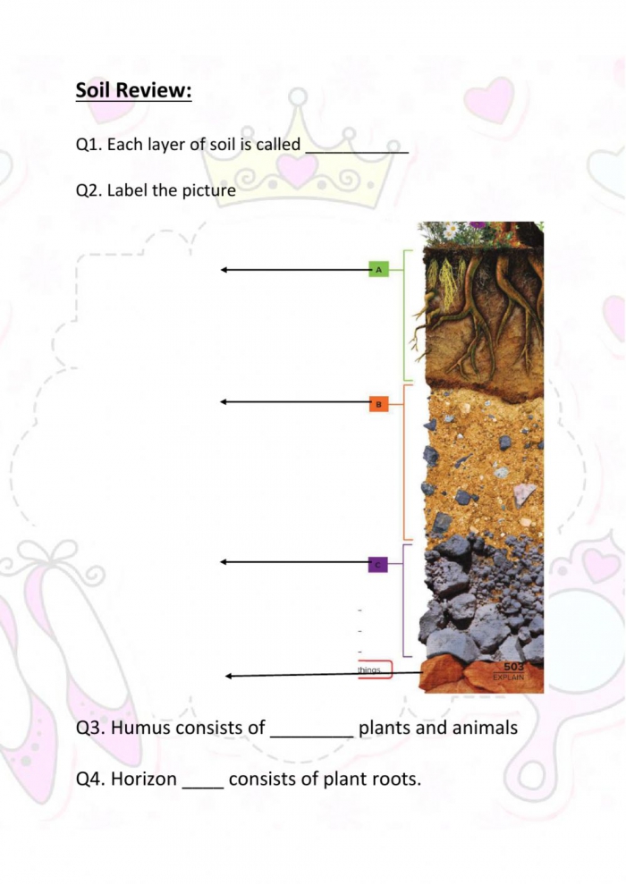 Soil Review Worksheet