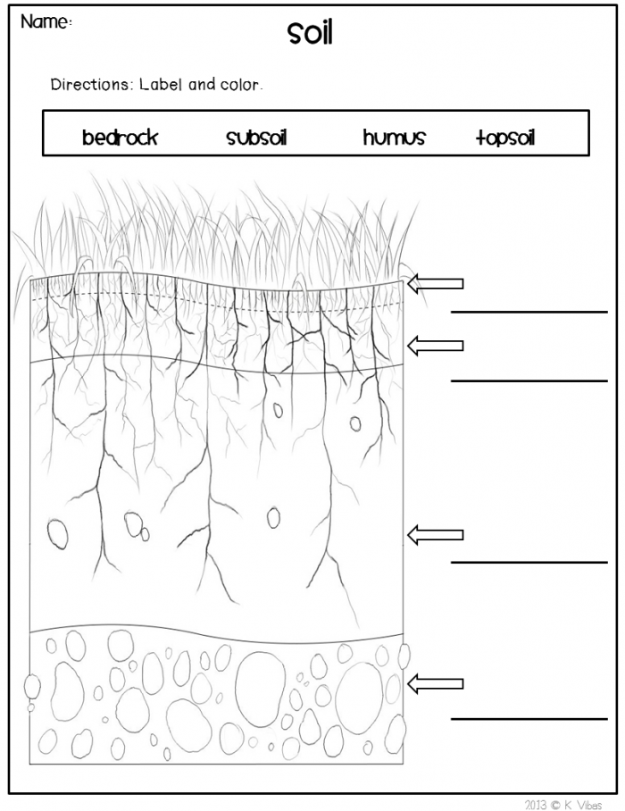 Vocabulary Cards Assessments And Fun Activities To Enhance Your